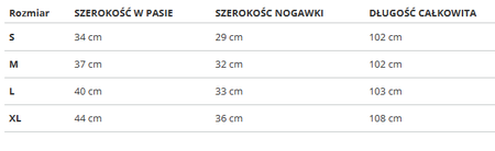 SPODNIE MĘSKIE PUMA 849786-01