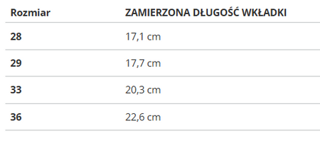 PUMA - BUTY DZIECIĘCE - FUTURE PLAY IT Jr 107204-03