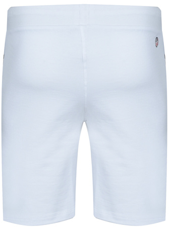 U.S. POLO ASSN. - MĘSKIE SZORTY HARL 131 65320 52319 100