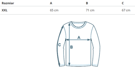 REEBOK - BLUZA DAMSKA RI BL FT Crew IN GM5100 - PLUS SIZE