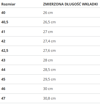 Buty męskie Puma Morphic 392724-06