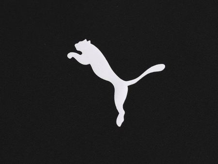 Bluza Puma LIGA Sidellne Poly Jkt 655946-03