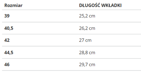 Buty męskie Puma FUTURE Z 4.3 TT 106770-01