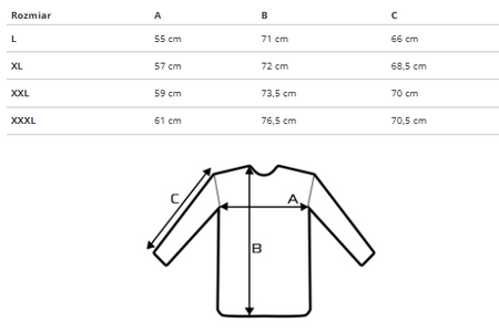 WEENS - BLUZA MĘSKA - 12 SZARY