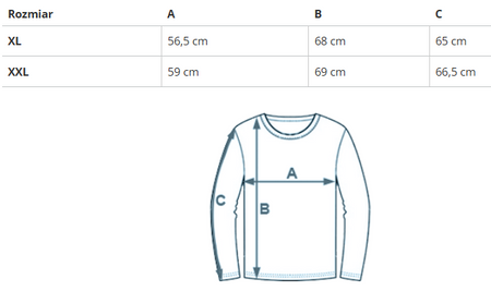 U.S. POLO ASSN. - DAMSKA BLUZA DRESOWA TEFI 387 66760 53502 152