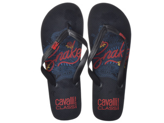 JAPONKI CAVALLI CLASS HOME  - D001078-B001