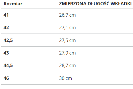 Buty męskie Nike AIR FLIGHT 89 DD1173-100