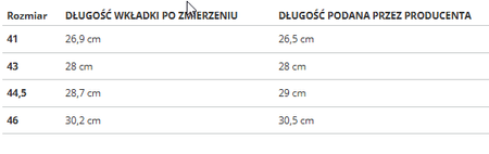 NIKE - BUTY MĘSKIE - NIKE REVOLUTION 7 FB2207-400