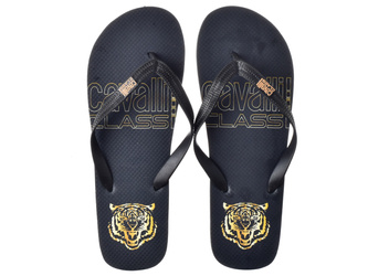 JAPONKI CAVALLI CLASS HOME  -D001079-B001