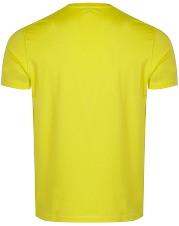 U.S. POLO ASSN. - T-SHIRT MĘSKI - CICK 154 67949 53674 314