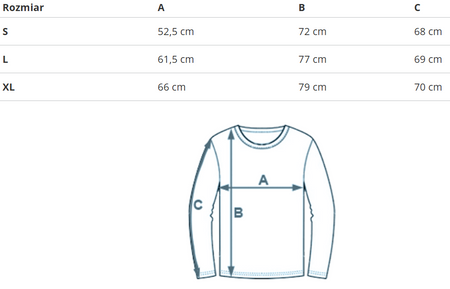 REEBOK - BLUZA UNISEX CL SKATE HOODIE HT8178