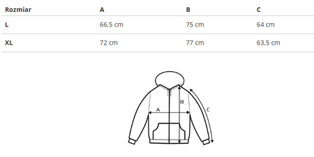 REEBOK - BLUZA MĘSKA Z KAPTUREM - CL 90s HOODIE IC9196