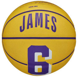WILSON - PIŁKA - NBA PLAYER ICON LEBRON JAMES MINI BALL WZ4007201XB