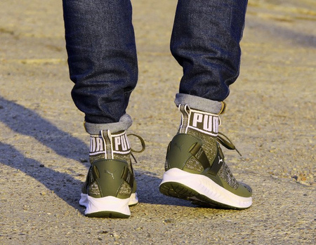 PUMA Ignite Evoknit (189697-14)