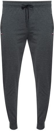 SPODNIE MĘSKIE DRESOWE - JX6003 SZARY ID8502