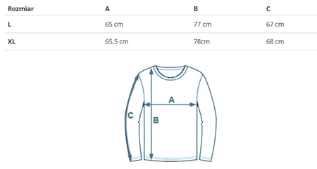 REEBOK - LONGSLEEVE MĘSKI - CL WDE LS TEE HS9135