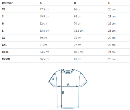 U.S. POLO ASSN. - MĘSKA KOSZULKA POLO KING 197 67355 41029 234