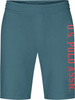 U.S. POLO ASSN. - MĘSKIE SZORTY MATY 131 65319 52319 234