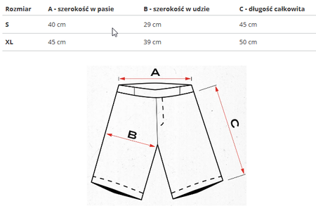 REEBOK - SPODENKI DRESOWE MĘSKIE - BB IVERSON BBALL SHORT HE9353