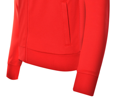 Bluza męska Puma Iconic MCS Track (595925-11)