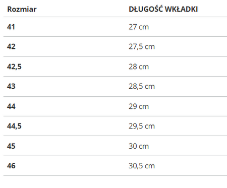 Buty męskie Puma FLYER Runner Mesh 195343-01