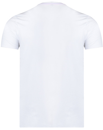 U.S. POLO ASSN. - MĘSKI KOMPLET LETNI - KOSZULKA I SZORTY KURT 132 66291 49351 503