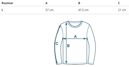 REEBOK - BLUZA DAMSKA CL VARSITY TOP HT7854