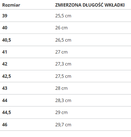 Buty męskie PUMA WILD RIDER ROUTE 381597-05