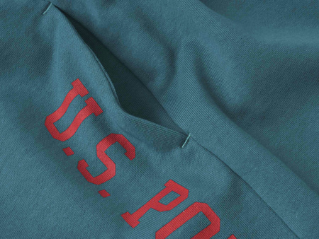 U.S. POLO ASSN. - MĘSKIE SZORTY MATY 131 65319 52319 234