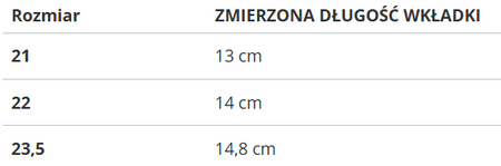 NIKE - BUTY DZIECIĘCE - PICO 5 TDV AR4162-504