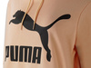 Bluza z kapturem Puma Classic Logo Hoody (595915-88)