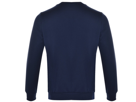 Bluza męska Puma Essentials Big Logo 586678-06