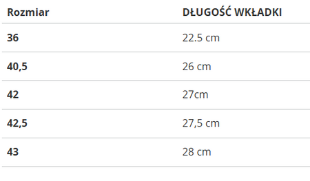 Buty Nike DUNK LOW DQ8580-100