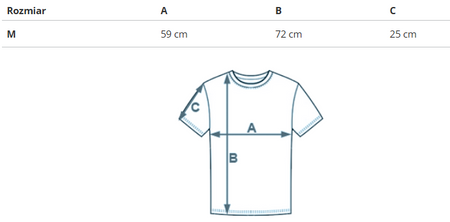 REEBOK - T-SHIRT MĘSKI - CL SV TEE HS7153