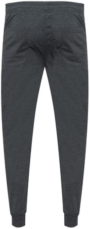 SPODNIE MĘSKIE DRESOWE - JX6003 SZARY ID8502