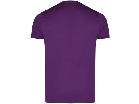 U.S. POLO ASSN. - T-SHIRT MĘSKI - CICK 154 67949 53674 335