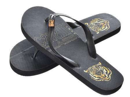 JAPONKI CAVALLI CLASS HOME -D001079-B001