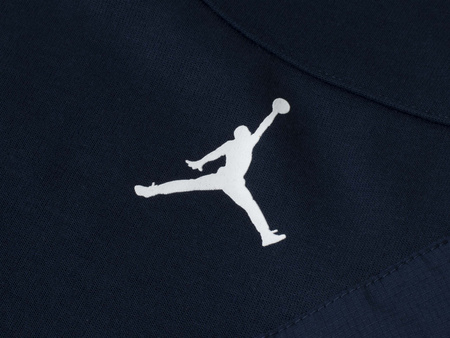 Spodnie dresowe męskie JORDAN DQ7890-419