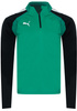 PUMA - BLUZA MĘSKA - TEAMLIGA 1/4 ZIP TOP DRY CELL 657236-05