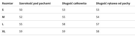 Bluza z kapturem Champion (111433-501)