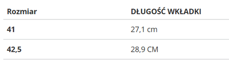 Buty Reebok ASTRORIDE TRAIL GTX 2.0 EF4179