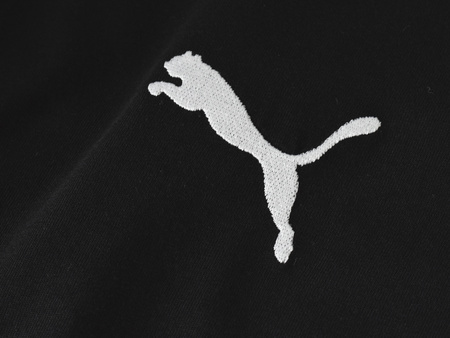 PUMA - T-SHIRT KOSZULKA MĘSKA - TEAMFINAL 21 CASUALS TEE 656489-03