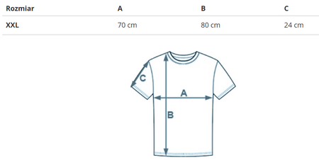 REEBOK- T-SHIRT KOSZULKA MĘSKA - CL RES TEE HS7143