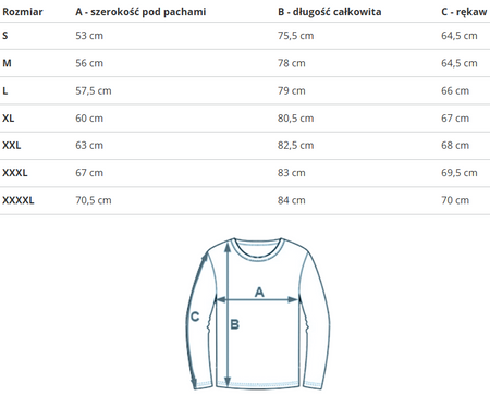 U.S. POLO ASSN. - KOSZULA MĘSKA DIRK 104 67781 53184 870