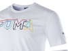 T-shirt męski Puma dryCELL Graphic (584712-02)