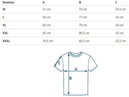 KOSZULKA MĘSKA JORDAN CJ0921-100 T-SHIRT BIAŁY