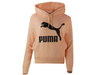 Bluza z kapturem Puma Classic Logo Hoody (595915-88)