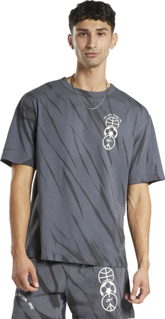 REEBOK - T-SHIRT MĘSKI - CL BLOCK PARTY TEE HS9190