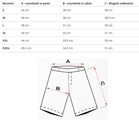 U.S. POLO ASSN. - MĘSKIE SZORTY HARL 131 65320 52319 100