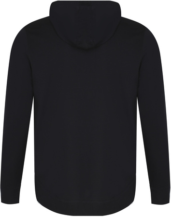 Bluza męska UNDER ARMOUR 1370401 001